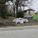 Litter/Illegal Dumping at 603 74 Th St