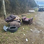 Litter/Illegal Dumping at 4902 Roanoke Ave
