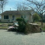 Litter/Illegal Dumping at 813 80 Th St
