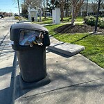 Litter/Illegal Dumping at 611 25 Th St