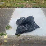 Litter/Illegal Dumping at 601 Mclawhorne Dr