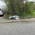 Litter/Illegal Dumping at 646 42 Nd St