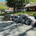 Litter/Illegal Dumping at 218 Shadywood Dr