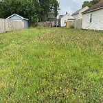 Tall Grass/Weeds at 824 31 St St