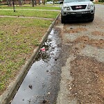 Street Repairs at 11 Pendleton St