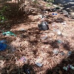 Litter/Illegal Dumping at 416 Hustings Ln