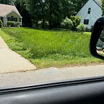 Tall Grass/Weeds at 114 Scufflefield Rd