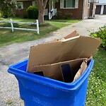 Damaged Container at 508 Lucas Creek Rd