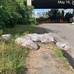 Litter/Illegal Dumping at 520 14 Th St