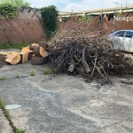 Litter/Illegal Dumping at 520 14 Th St