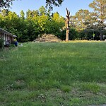 Tall Grass/Weeds at 169 Richneck Rd