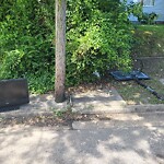 Litter/Illegal Dumping at 127 Ash Ave