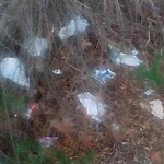 Litter/Illegal Dumping at 408 Hustings Ln