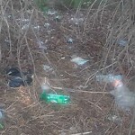 Litter/Illegal Dumping at 404 Hustings Ln