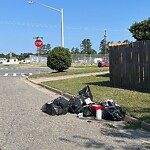 Litter/Illegal Dumping at 278 Menchville Rd