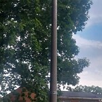 Streetlights at 416 Hustings Ln