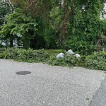 Litter/Illegal Dumping at 942 14 Th St