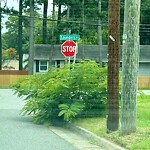 Street Obstructions at 1 Wedgewood Dr