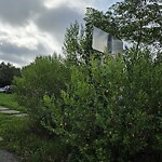 Traffic Signs at 101 51 St St