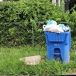 Litter/Illegal Dumping at 841 26 Th St