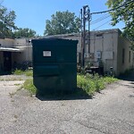 Tall Grass/Weeds at 99 Main St