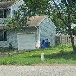 Tall Grass/Weeds at 128 Edsyl St