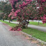 Street Obstructions at 110 Brookfield Dr