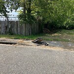 Litter/Illegal Dumping at 619 46 Th St