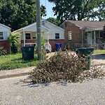 Litter/Illegal Dumping at 637 47 Th St