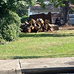 Litter/Illegal Dumping at 620 47 Th St