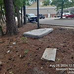 Litter/Illegal Dumping at 772 J Clyde Morris Blvd