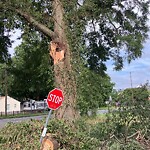 Street Obstructions at 700 74 Th St