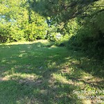 Tall Grass/Weeds at 619 46 Th St