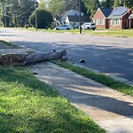 Street Obstructions at 143 Colony Rd