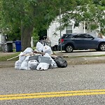 Litter/Illegal Dumping at 4507 Madison Ave