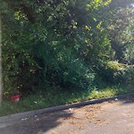 Litter/Illegal Dumping at 7419 Jarvis Pl