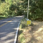 Tall Grass/Weeds at 79 Denbigh Blvd