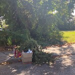 Litter/Illegal Dumping at 651 42 Nd St