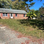 Tall Grass/Weeds at 797 Selkirk Dr