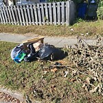 Litter/Illegal Dumping at 1215 26 Th St