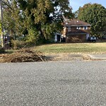 Litter/Illegal Dumping at 636 41 St St