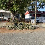 Litter/Illegal Dumping at 615 45 Th St