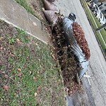 Litter/Illegal Dumping at 622 28 Th St