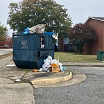 Litter/Illegal Dumping at 4534 Madison Ave