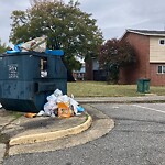 Litter/Illegal Dumping at 4534 Madison Ave