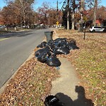 Litter/Illegal Dumping at 208 Menchville Rd