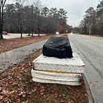 Litter/Illegal Dumping at 13506 Woodside Ln