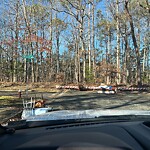 Litter/Illegal Dumping at 293 Circuit Ln