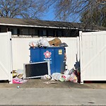 Litter/Illegal Dumping at 320 Boulder Dr