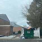 Litter/Illegal Dumping at 817 Dusk Ct